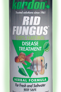 Kordon Rid Fungus 4 oz