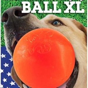 RuffDawg Rubber Ball XL - Orange