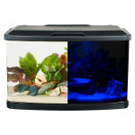 Fluval Vista Aquarium Kit 8.5 US gal (32L)