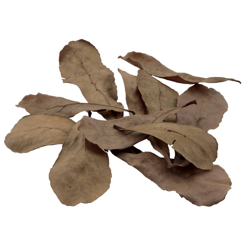 Betta Tropical Almond Leaf 10pk