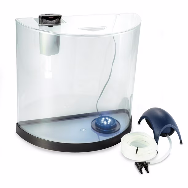 Glo Fish Bubbling Betta Kit 3 Gallon